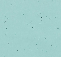 Линолеум Forbo Sphera Energetic 50218 spearmint фото 1 | FLOORDEALER